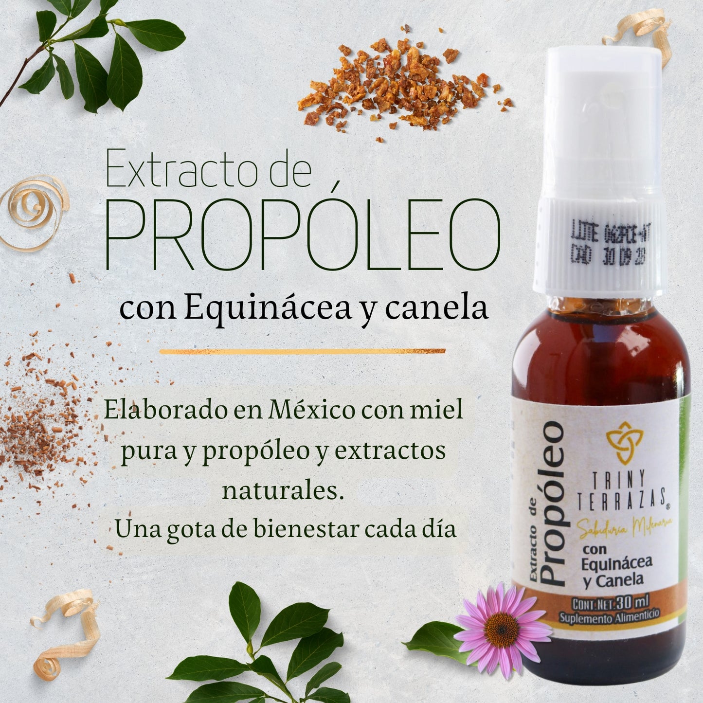 Extracto de Propóleo: con Equinácea, miel y canela / 30 ML