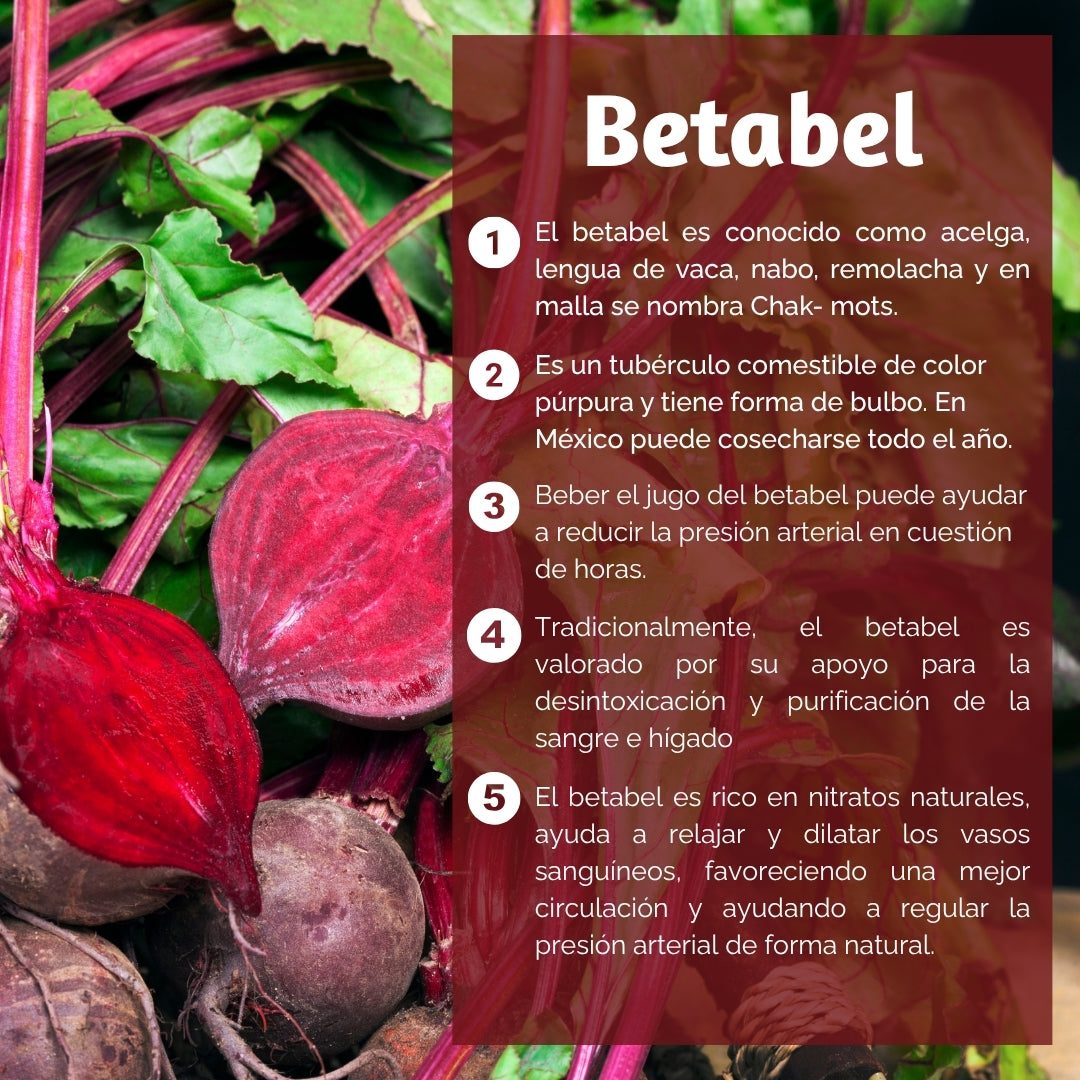 Vinagre de Betabel: Con Manzana y Miel / 800 ML / Paquete de 3 botellas total 2,400 ML