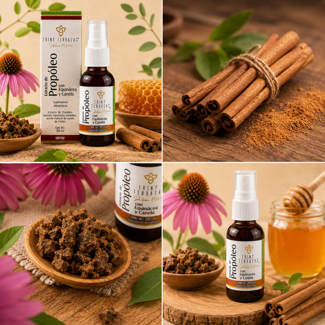 Extracto de Propóleo: con Equinácea, miel y canela / 30 ML