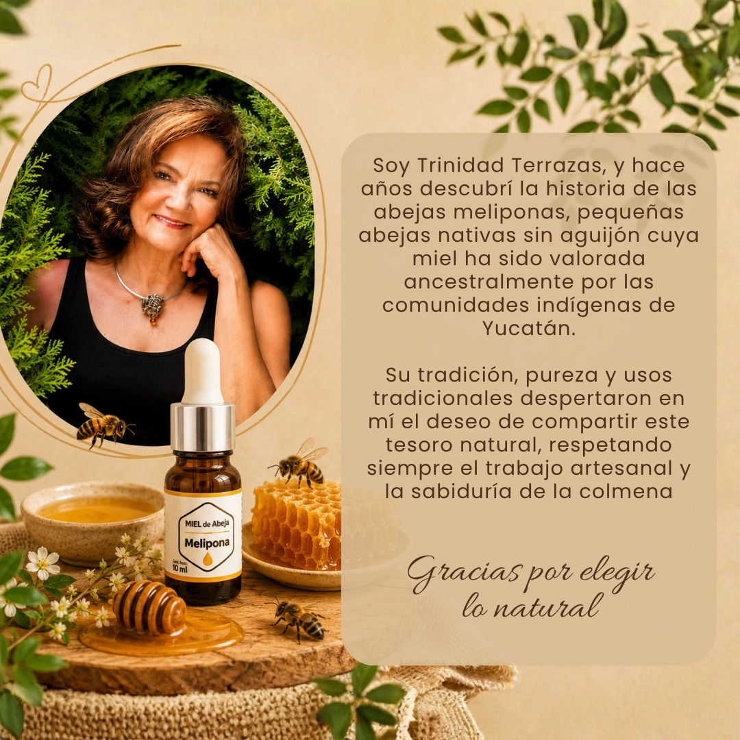Miel Melipona / 10 ML