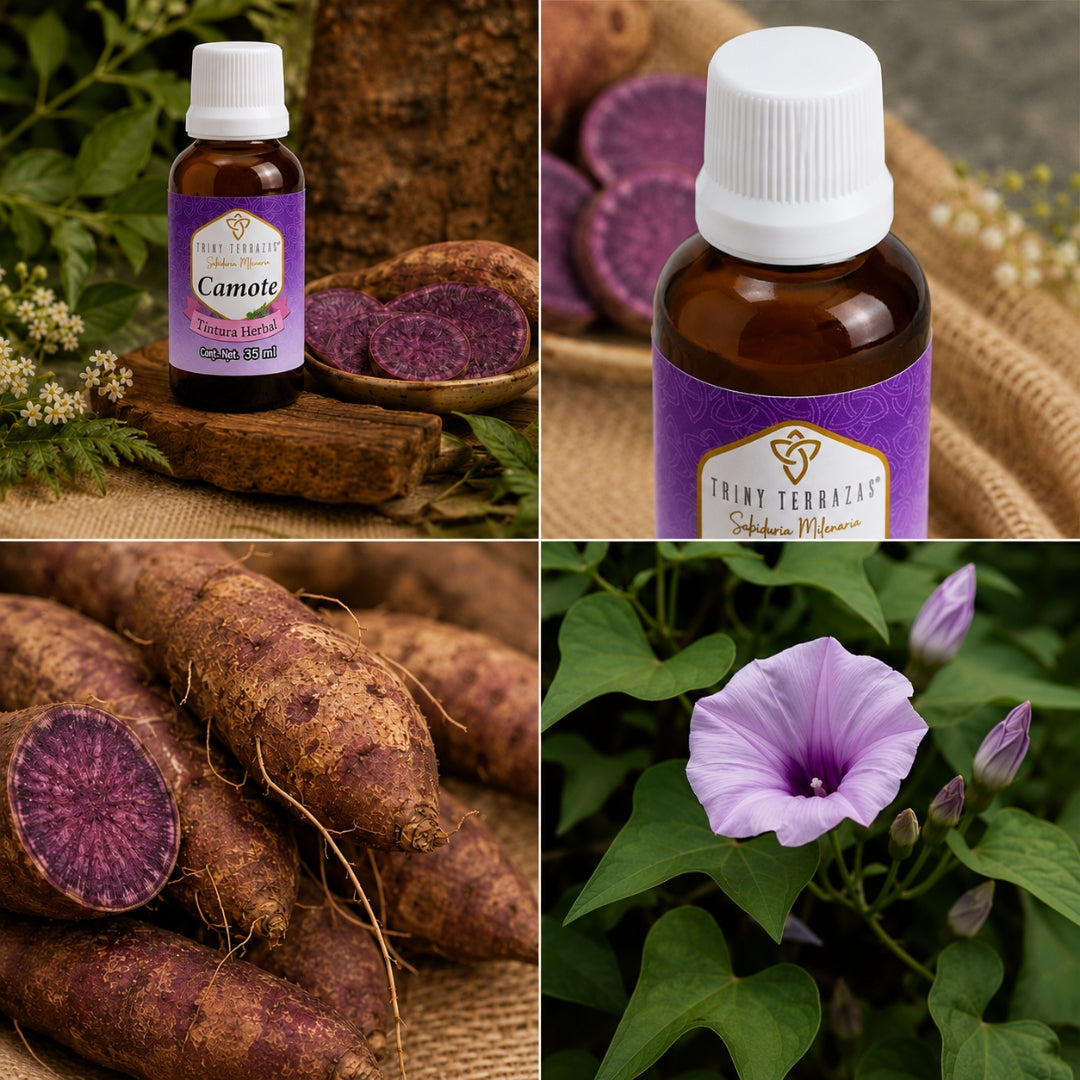 Tintura Herbal de Camote / 35 ML