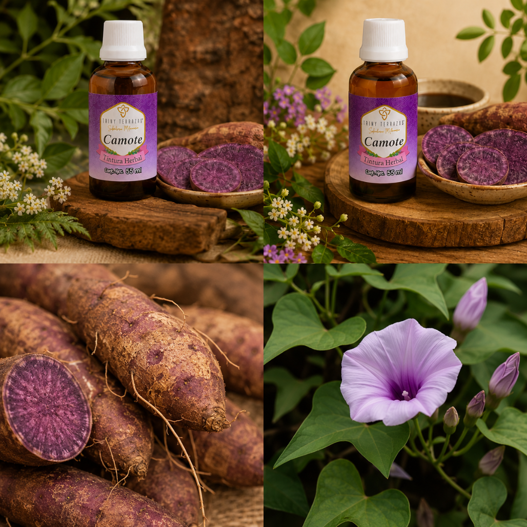 Tintura Herbal de Camote / 55 ML / PAQUETE DE 2 TOTAL 110 ML