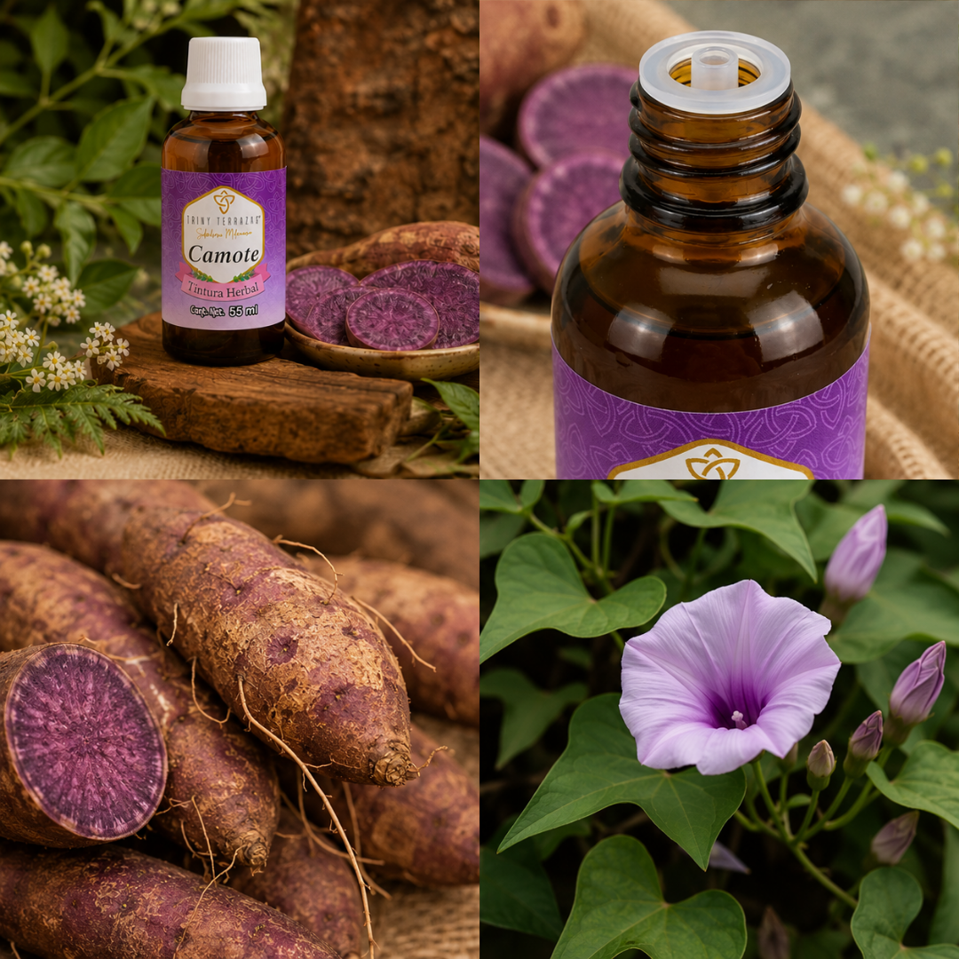 Tintura Herbal de Camote / 55 ML