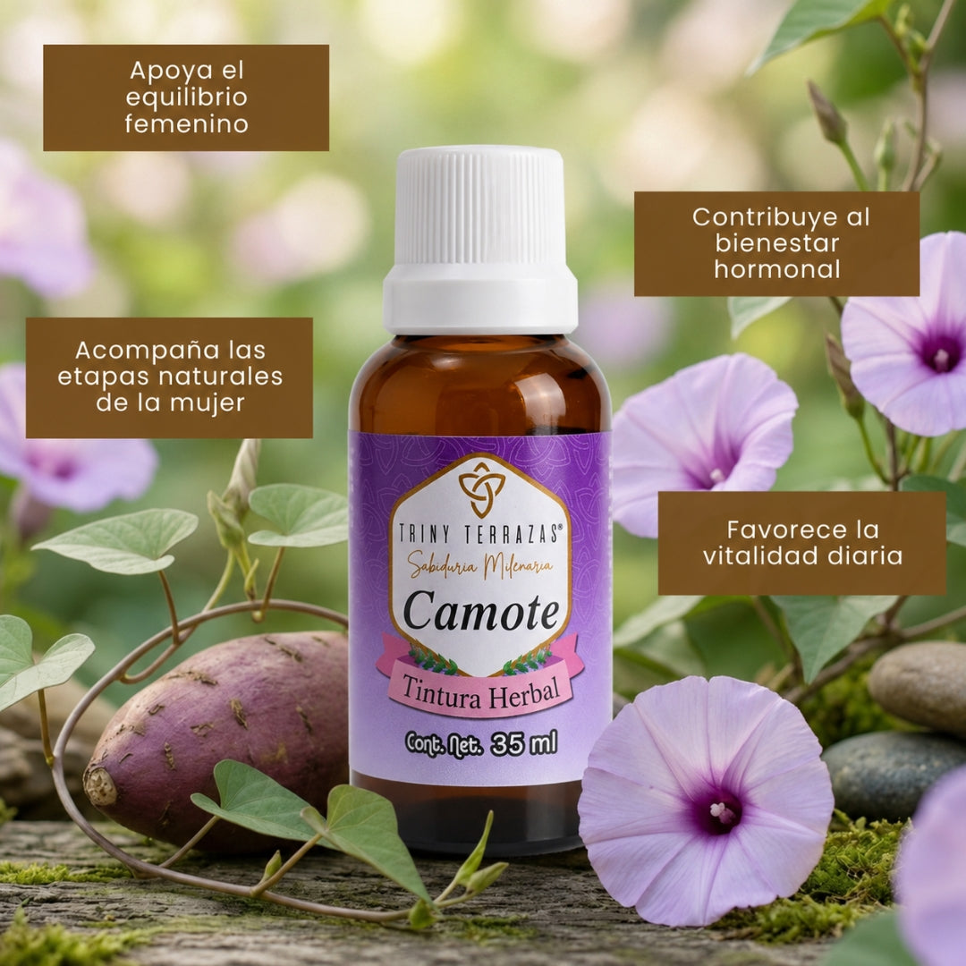 Tintura Herbal de Camote / 35 ML